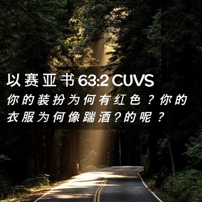 Picture 02 - 以 赛 亚 书 63:2 CUVS - 你 的 装 扮 为 何 有 红 色 ？ 你 的 - Bible Verse Picture