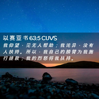 Picture 02 - 以 赛 亚 书 63:5 CUVS - 我 仰 望 ， 见 无 人 帮 助 ； 我 诧 - Bible Verse Picture
