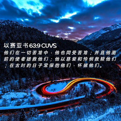 Picture 02 - 以 赛 亚 书 63:9 CUVS - 他 们 在 一 切 苦 难 中 ， 他 也 同 - Bible Verse Picture