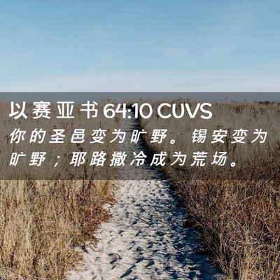 Picture 02 - 以 赛 亚 书 64:10 CUVS - 你 的 圣 邑 变 为 旷 野 。 锡 安 变 - Bible Verse Picture
