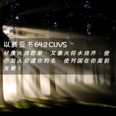 Picture 02 - 以 赛 亚 书 64:2 CUVS - 好 像 火 烧 乾 柴 ， 又 像 火 将 水 - Bible Verse Picture
