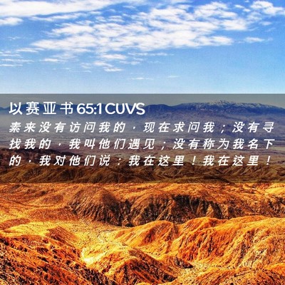 Picture 02 - 以 赛 亚 书 65:1 CUVS - 素 来 没 有 访 问 我 的 ， 现 在 求 - Bible Verse Picture