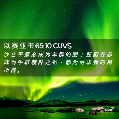 Picture 02 - 以 赛 亚 书 65:10 CUVS - 沙 仑 平 原 必 成 为 羊 群 的 圈 ； - Bible Verse Picture