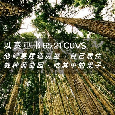 Picture 02 - 以 赛 亚 书 65:21 CUVS - 他 们 要 建 造 房 屋 ， 自 己 居 住 - Bible Verse Picture