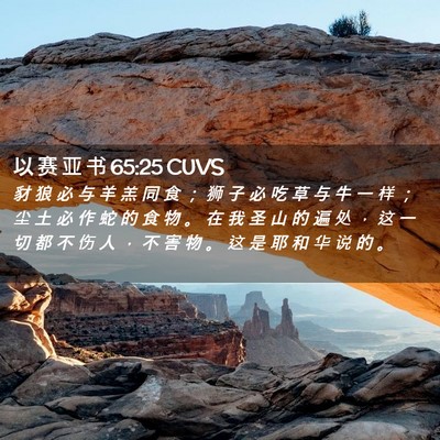 Picture 02 - 以 赛 亚 书 65:25 CUVS - 豺 狼 必 与 羊 羔 同 食 ； 狮 子 必 - Bible Verse Picture