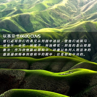 Picture 02 - 以 赛 亚 书 66:20 CUVS - 他 们 必 将 你 们 的 弟 兄 从 列 国 - Bible Verse Picture
