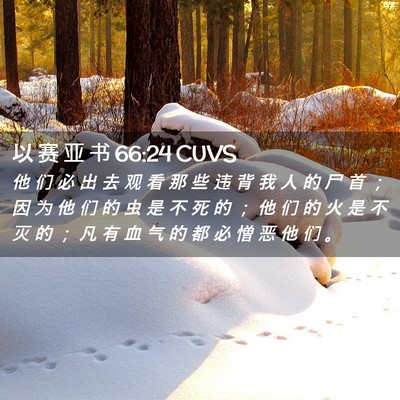Picture 02 - 以 赛 亚 书 66:24 CUVS - 他 们 必 出 去 观 看 那 些 违 背 我 - Bible Verse Picture