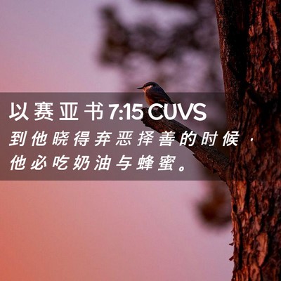 Picture 02 - 以 赛 亚 书 7:15 CUVS - 到 他 晓 得 弃 恶 择 善 的 时 候 ， - Bible Verse Picture