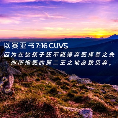 Picture 02 - 以 赛 亚 书 7:16 CUVS - 因 为 在 这 孩 子 还 不 晓 得 弃 恶 - Bible Verse Picture