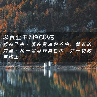 Picture 02 - 以 赛 亚 书 7:19 CUVS - 都 必 飞 来 ， 落 在 荒 凉 的 谷 内 - Bible Verse Picture