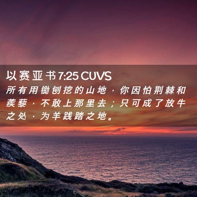 Picture 02 - 以 赛 亚 书 7:25 CUVS - 所 有 用 锄 刨 挖 的 山 地 ， 你 因 - Bible Verse Picture