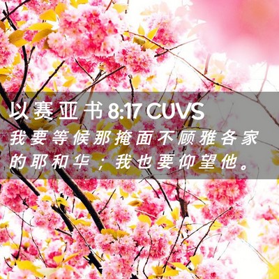 Picture 02 - 以 赛 亚 书 8:17 CUVS - 我 要 等 候 那 掩 面 不 顾 雅 各 家 - Bible Verse Picture