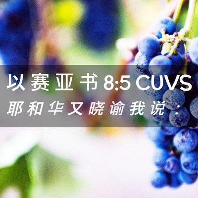 Picture 02 - 以 赛 亚 书 8:5 CUVS - 耶 和 华 又 晓 谕 我 说 - Bible Verse Picture