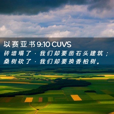 Picture 02 - 以 赛 亚 书 9:10 CUVS - 砖 墙 塌 了 ， 我 们 却 要 凿 石 头 - Bible Verse Picture
