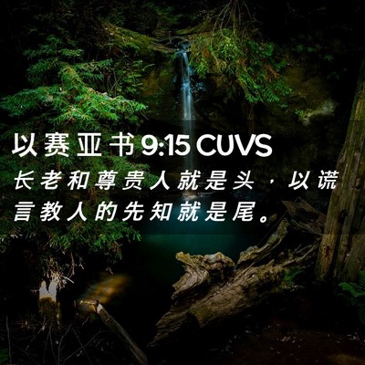 Picture 02 - 以 赛 亚 书 9:15 CUVS - 长 老 和 尊 贵 人 就 是 头 ， 以 谎 - Bible Verse Picture