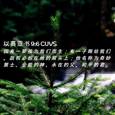 Picture 02 - 以 赛 亚 书 9:6 CUVS - 因 有 一 婴 孩 为 我 们 而 生 ； 有 - Bible Verse Picture