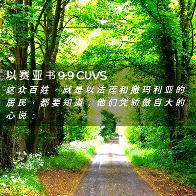 Picture 02 - 以 赛 亚 书 9:9 CUVS - 这 众 百 姓 ， 就 是 以 法 莲 和 撒 - Bible Verse Picture