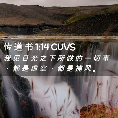 Picture 02 - 传 道 书 1:14 CUVS - 我 见 日 光 之 下 所 做 的 一 切 事 - Bible Verse Picture