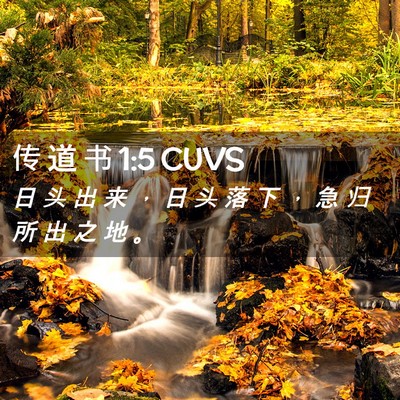 Picture 02 - 传 道 书 1:5 CUVS - 日 头 出 来 ， 日 头 落 下 ， 急 归 - Bible Verse Picture