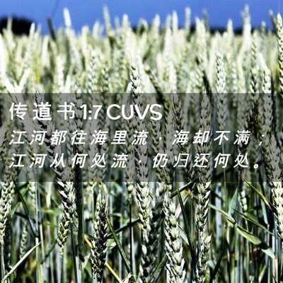 Picture 02 - 传 道 书 1:7 CUVS - 江 河 都 往 海 里 流 ， 海 却 不 满 - Bible Verse Picture