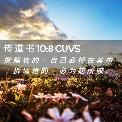 Picture 02 - 传 道 书 10:8 CUVS - 挖 陷 坑 的 ， 自 己 必 掉 在 其 中 - Bible Verse Picture