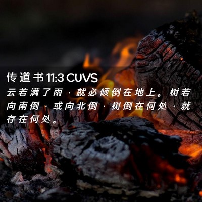 Picture 02 - 传 道 书 11:3 CUVS - 云 若 满 了 雨 ， 就 必 倾 倒 在 地 - Bible Verse Picture