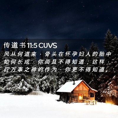 Picture 02 - 传 道 书 11:5 CUVS - 风 从 何 道 来 ， 骨 头 在 怀 孕 妇 - Bible Verse Picture