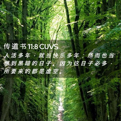 Picture 02 - 传 道 书 11:8 CUVS - 人 活 多 年 ， 就 当 快 乐 多 年 ； - Bible Verse Picture