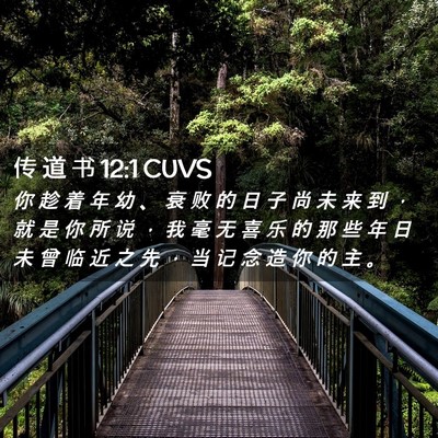 Picture 02 - 传 道 书 12:1 CUVS - 你 趁 着 年 幼 、 衰 败 的 日 子 尚 - Bible Verse Picture