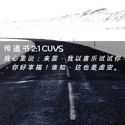 Picture 02 - 传 道 书 2:1 CUVS - 我 心 里 说 ： 来 罢 ， 我 以 喜 乐 - Bible Verse Picture