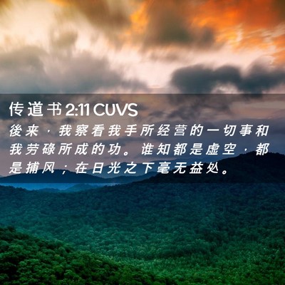 Picture 02 - 传 道 书 2:11 CUVS - 後 来 ， 我 察 看 我 手 所 经 营 的 - Bible Verse Picture