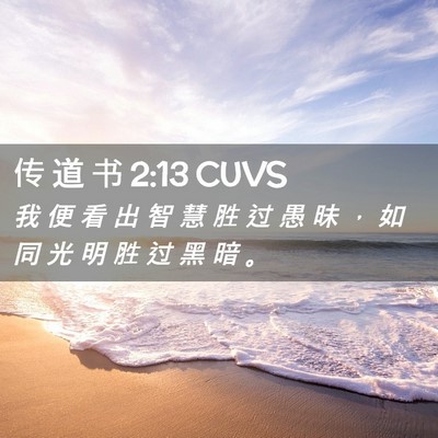 Picture 02 - 传 道 书 2:13 CUVS - 我 便 看 出 智 慧 胜 过 愚 昧 ， 如 - Bible Verse Picture