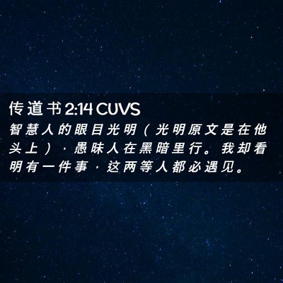 Picture 02 - 传 道 书 2:14 CUVS - 智 慧 人 的 眼 目 光 明 （ 光 明 原 - Bible Verse Picture