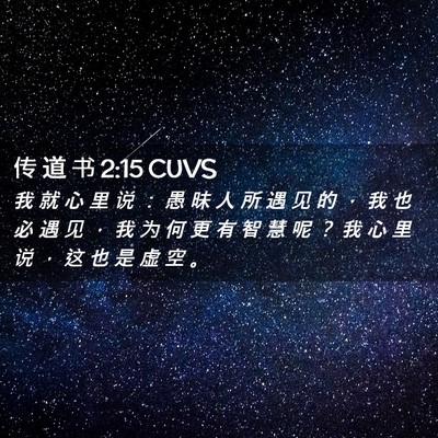 Picture 02 - 传 道 书 2:15 CUVS - 我 就 心 里 说 ： 愚 昧 人 所 遇 见 - Bible Verse Picture