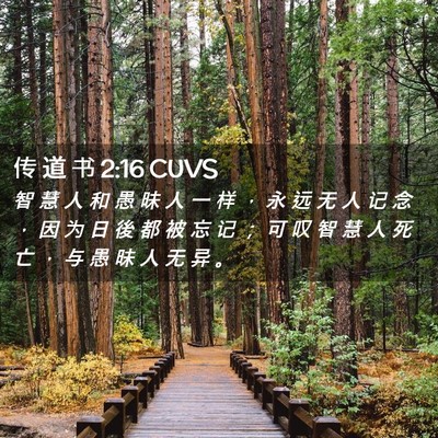 Picture 02 - 传 道 书 2:16 CUVS - 智 慧 人 和 愚 昧 人 一 样 ， 永 远 - Bible Verse Picture