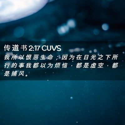 Picture 02 - 传 道 书 2:17 CUVS - 我 所 以 恨 恶 生 命 ； 因 为 在 日 - Bible Verse Picture