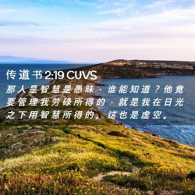 Picture 02 - 传 道 书 2:19 CUVS - 那 人 是 智 慧 是 愚 昧 ， 谁 能 知 - Bible Verse Picture