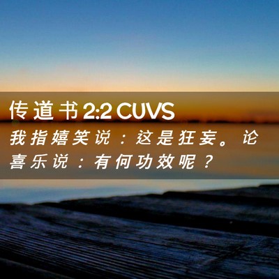 Picture 02 - 传 道 书 2:2 CUVS - 我 指 嬉 笑 说 ： 这 是 狂 妄 。 论 - Bible Verse Picture