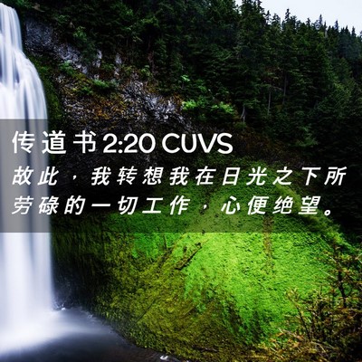 Picture 02 - 传 道 书 2:20 CUVS - 故 此 ， 我 转 想 我 在 日 光 之 下 - Bible Verse Picture