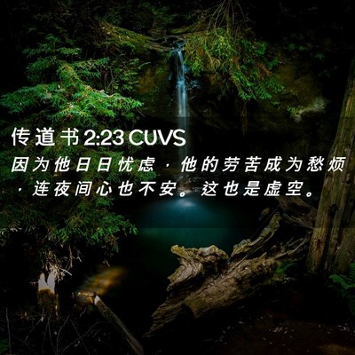 Picture 02 - 传 道 书 2:23 CUVS - 因 为 他 日 日 忧 虑 ， 他 的 劳 苦 - Bible Verse Picture