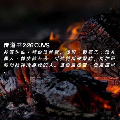 Picture 02 - 传 道 书 2:26 CUVS - 神 喜 悦 谁 ， 就 给 谁 智 慧 、 知 - Bible Verse Picture