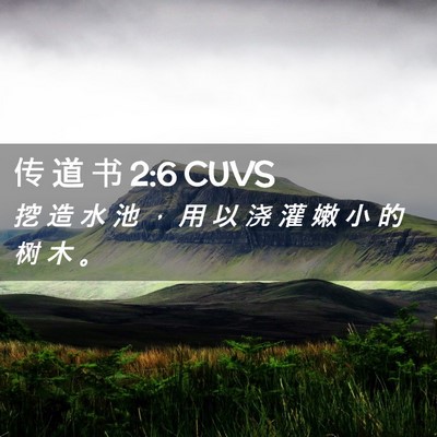 Picture 02 - 传 道 书 2:6 CUVS - 挖 造 水 池 ， 用 以 浇 灌 嫩 小 的 - Bible Verse Picture