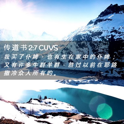 Picture 02 - 传 道 书 2:7 CUVS - 我 买 了 仆 婢 ， 也 有 生 在 家 中 - Bible Verse Picture