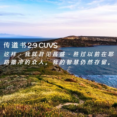 Picture 02 - 传 道 书 2:9 CUVS - 这 样 ， 我 就 日 见 昌 盛 ， 胜 过 - Bible Verse Picture