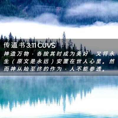Picture 02 - 传 道 书 3:11 CUVS - 神 造 万 物 ， 各 按 其 时 成 为 美 - Bible Verse Picture