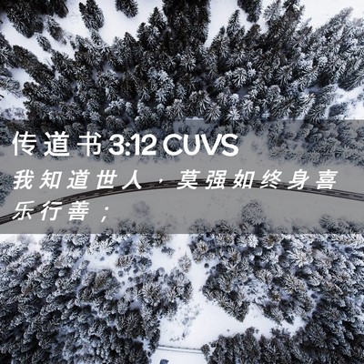 Picture 02 - 传 道 书 3:12 CUVS - 我 知 道 世 人 ， 莫 强 如 终 身 喜 - Bible Verse Picture
