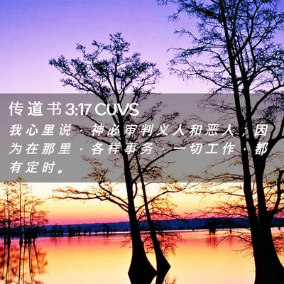 Picture 02 - 传 道 书 3:17 CUVS - 我 心 里 说 ， 神 必 审 判 义 人 和 - Bible Verse Picture