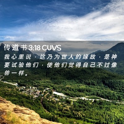 Picture 02 - 传 道 书 3:18 CUVS - 我 心 里 说 ， 这 乃 为 世 人 的 缘 - Bible Verse Picture
