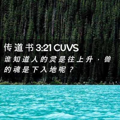 Picture 02 - 传 道 书 3:21 CUVS - 谁 知 道 人 的 灵 是 往 上 升 ， 兽 - Bible Verse Picture