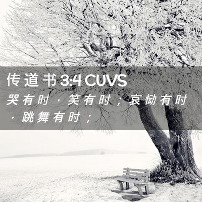 Picture 02 - 传 道 书 3:4 CUVS - 哭 有 时 ， 笑 有 时 ； 哀 恸 有 时 - Bible Verse Picture